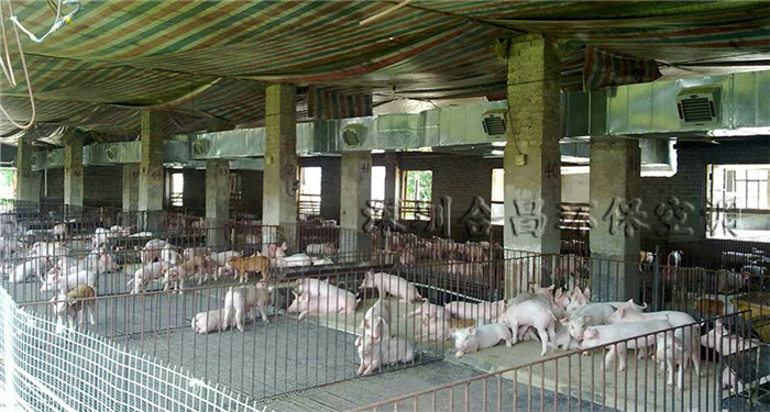 潤東方環?？照{養豬場降溫工程